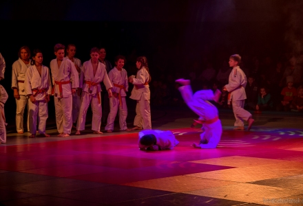 Sportshow SV Fun-Ball - Judo