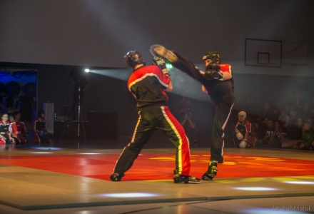 Sportshow SV Fun-Ball - Kickboxen